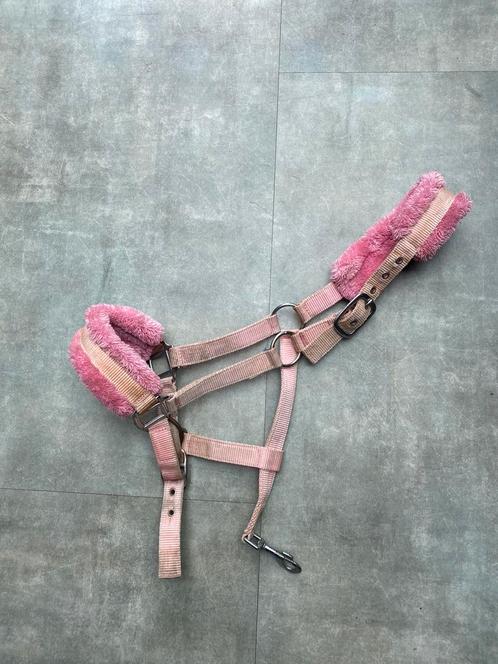 Roze Bonte halster Pony/Cob, Dieren en Toebehoren, Paarden en Pony's | Overige Paardenspullen, Gebruikt, Ophalen of Verzenden