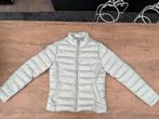 Nieuwe zgan lichtgroene Cotton Club bomberjas jas S/36, Ophalen, Nieuw, Jasje, Maat 36 (S)