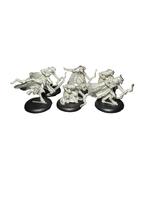 Warmachine Hordes Everblight Blighted Nyss Striders, Hobby en Vrije tijd, Wargaming, ., Warhammer, Ophalen of Verzenden, Zo goed als nieuw