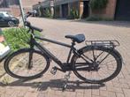 Pegasus Lucca 3 (size 50), Fietsen en Brommers, Fietsen | Heren | Herenfietsen, Gebruikt, Versnellingen, 49 tot 53 cm, Ophalen