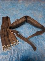 Oude longeersingel full, Dieren en Toebehoren, Ophalen of Verzenden, Overige soorten