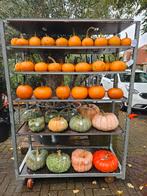 Pompoenen en kalebassen,  eetbaar en sier