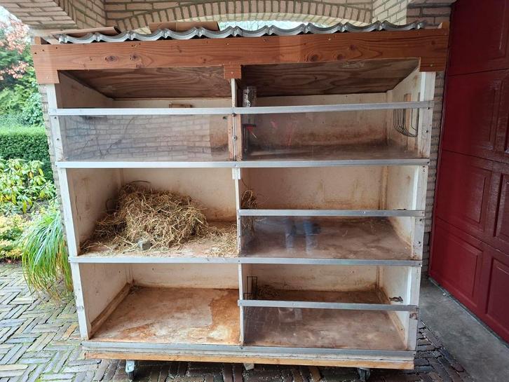 Cavia flat, Dieren en Toebehoren, Knaagdieren en Konijnen | Hokken en Kooien, Gebruikt, Hok, 90 cm of meer, 110 cm of meer, Cavia