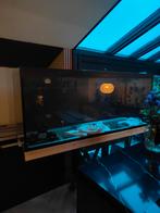Groot aquarium, Ophalen, Gebruikt, Leeg aquarium
