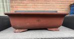 Bonsai schaal XXXL bruin ongeglazuurd 81,2x52,2x25,7, Tuin en Terras, Ophalen, 40 cm of meer, Zo goed als nieuw, Aardewerk