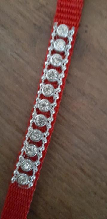 Halsbandje rood / kattenhalsband beschikbaar voor biedingen