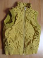 Groene bodywarmer *Jilly*, Kinderen en Baby's, Kinderkleding | Maat 122, Meisje, Ophalen of Verzenden, Jas, Jilly