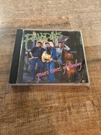 The Paladins - Years since yesterday, Ophalen of Verzenden, Zo goed als nieuw, Poprock