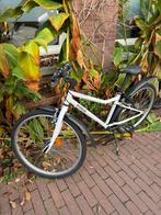 Riverside kinderfiets, Minder dan 47 cm, Ophalen of Verzenden, Zo goed als nieuw, Staal