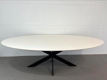 Prachtige Fenix ovale eettafel 250x125