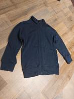 Merinowollen vest mt 110/116, Kinderen en Baby's, Ophalen of Verzenden, Zo goed als nieuw, Trui of Vest