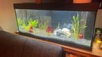 Juwel 240 zwart., Dieren en Toebehoren, Vissen | Aquaria en Toebehoren, Ophalen, Zo goed als nieuw, Leeg aquarium