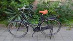 Bologna Desire omafiets | Bike in good condition, 53 tot 56 cm, Ophalen, Gebruikt, Bologna