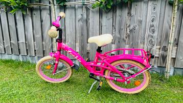 Loekie Princess 16 inch beschikbaar voor biedingen