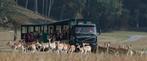 PassHan entreetickets voor Grotten van Han en het Wildpark, Tickets en Kaartjes, Drie personen of meer, Ticket of Toegangskaart