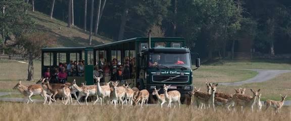 PassHan entreetickets voor Grotten van Han en het Wildpark, Tickets en Kaartjes, Recreatie | Dierentuinen, Drie personen of meer