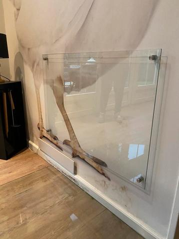 Spatscherm. Paneel gehard glas. Met afstandshouders. Zgan. beschikbaar voor biedingen