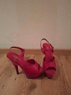 Pleaser paaldans schoenen maat 39, Pleaser, Ophalen of Verzenden, Zo goed als nieuw, Schoenen met hoge hakken