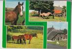 Otterlo 5 luik Paarden Veulen Boerderij, Verzenden, Gelopen, Overijssel