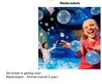 Madurodam e-ticket, Tickets en Kaartjes, Eén persoon, Ticket of Toegangskaart