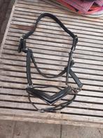 Pony halster leer, Dieren en Toebehoren, Paarden en Pony's | Overige Paardenspullen, Ophalen, Overige soorten
