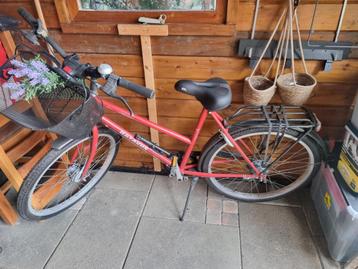 Batavus damesfiets beschikbaar voor biedingen
