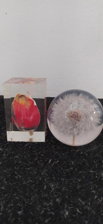 Presse papier tulp en paardenbloem pluisjesbol vintage beschikbaar voor biedingen