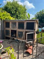 Groot konijnenhok te koop., Dieren en Toebehoren, Knaagdieren en Konijnen | Hokken en Kooien, Ophalen, Gebruikt, 110 cm of meer