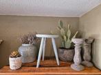 Blauw grijze accessoires cactus vetplant tillandsia met pot, Ophalen, Zo goed als nieuw
