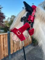 100%. Betrouwbare kinderpony, Dieren en Toebehoren, Merrie
