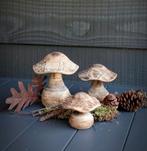 Set houten paddenstoelen bruin., Ophalen of Verzenden, Nieuw