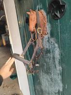 Leer halster maat Full, Dieren en Toebehoren, Ophalen of Verzenden, Overige soorten