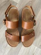NIEUWE Panama Jack sandalen, bruin, maat 39 (prj), Bruin, Nieuw, Panama Jack, Sandalen of Muiltjes