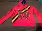 Hoodie Polo Ralph Lauren maat M en maat L Nieuw met kaartjes, Maat 48/50 (M), Nieuw, Ophalen of Verzenden, Polo Ralph Lauren