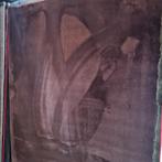 Velvet Vloerkleden actie - direct meenemen - showroom Vianen