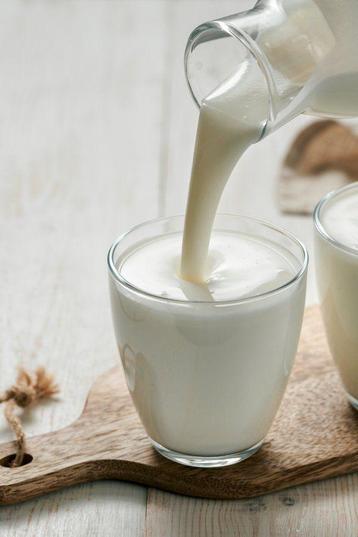 Melk kefir korrels – 15 g | Gezond, vers & actief! beschikbaar voor biedingen