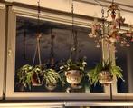 Hang bloempot  gezocht, Huis en Inrichting, Ophalen of Verzenden, Gebruikt