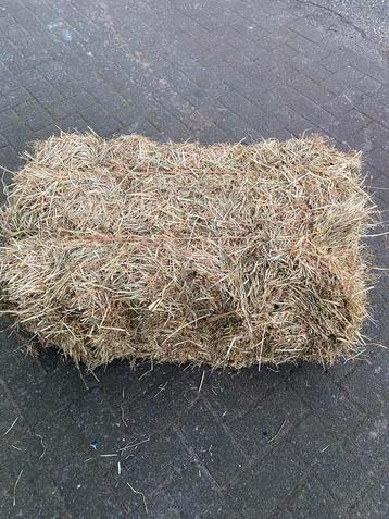Kleine baaltjes hooi beschikbaar voor biedingen