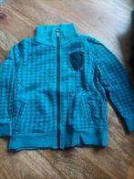 Leuke vest maat 110/116, Kinderen en Baby's, Kinderkleding | Maat 110, Jongen of Meisje, Trui of Vest, Ophalen of Verzenden, Zo goed als nieuw