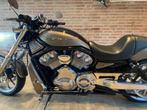 HARLEY-DAVIDSON V-ROD, 2 cilinders, Chopper, Particulier, Meer dan 35 kW