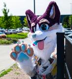 Fursuit Paws - Handgemaakt - HQ Fur, Ophalen of Verzenden, Zo goed als nieuw