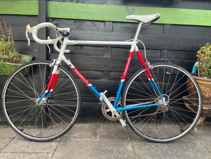 Panasonic racefiets Team Holland, Fietsen en Brommers, Fietsen | Racefietsen, Gebruikt, Overige merken, 10 tot 15 versnellingen