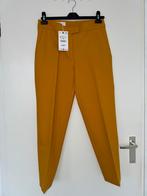 Zara broek | Nieuw met prijskaartje, Maat 38/40 (M), Geel, Nieuw, Ophalen of Verzenden
