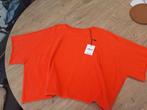 Nieuwe trui maat XXL, Ophalen of Verzenden, Nieuw, Maat 46/48 (XL) of groter