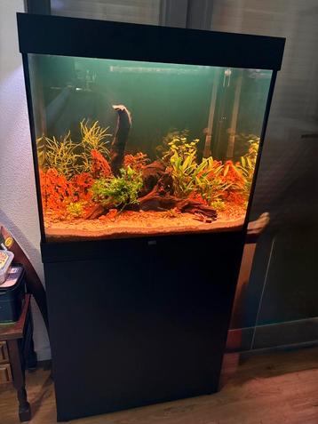 Aquarium Juwel Lido 200 Oase biomaster thermo 250 zgan beschikbaar voor biedingen