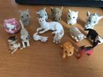 Katten, Verzamelen, Ophalen of Verzenden, Nieuw