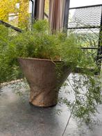 Houten bloempot / plantenbak, Ophalen, Minder dan 30 cm, Rond, Zo goed als nieuw