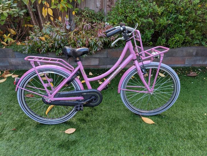 Alpina Clubb M22 Frosty Pink Matt (Model 2023), Fietsen en Brommers, Fietsen | Meisjes, Gebruikt, 22 inch, Handrem, Ophalen of Verzenden