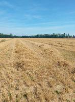 Stro, Dieren en Toebehoren, Ophalen, Vee