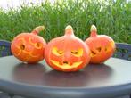 pompoenen halloween  boerengolf,, Tuin en Terras, Volle zon, Eenjarig, Herfst, Ophalen